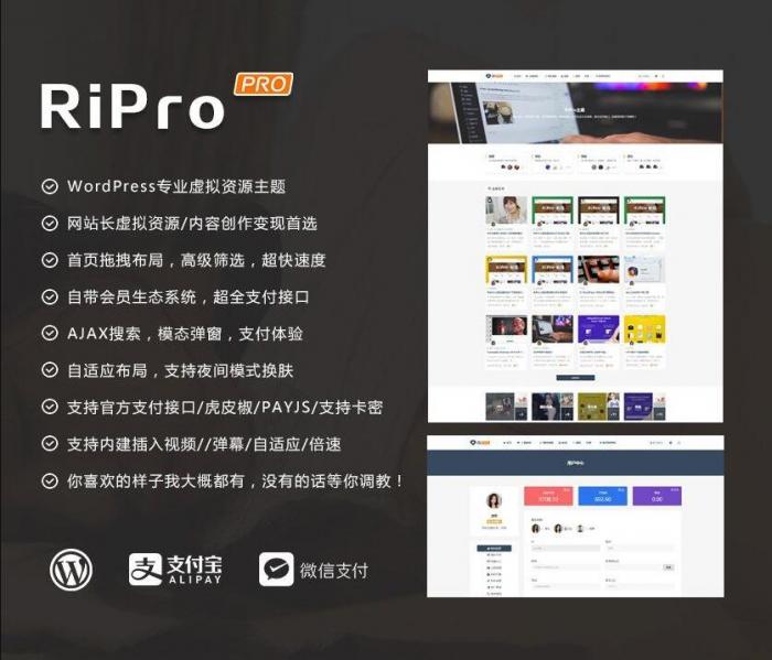 RIPro主题 v7.2 免授权修复后门完美版-32IU